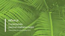 Reporte Global de Sustentabilidad 2022